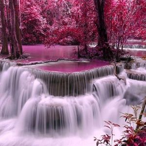 Meet your Posher, Shanna